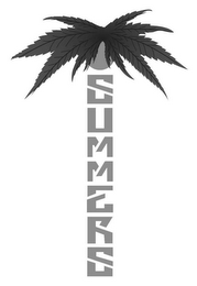 SUMMERS logo