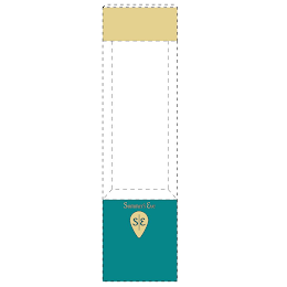 SUMMER'S EVE S E logo