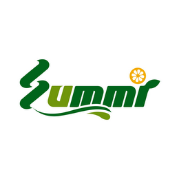 SUMMI. logo