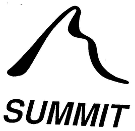 SUMMIT logo
