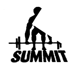 SUMMIT logo