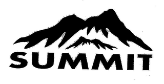 SUMMIT logo