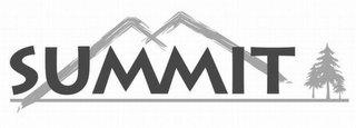 SUMMIT logo