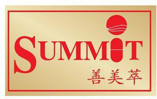 SUMMIT logo