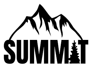 SUMMIT logo