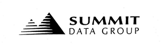 SUMMIT DATA GROUP