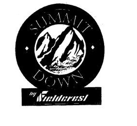 SUMMIT DOWN BY FIELDCREST logo