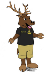 SUMMIT IDAHO PIZZA COMPANY logo