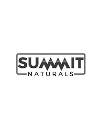 SUMMIT NATURALS logo