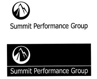 SUMMIT PERFORMANCE GROUP logo