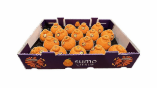 SUMO CITRUS logo