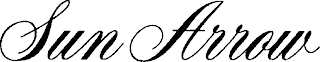 SUN ARROW logo
