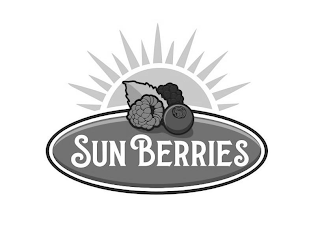 SUN BERRIES logo