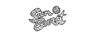 SUN BURST logo