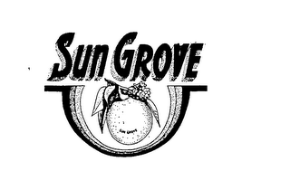 SUN GROVE logo