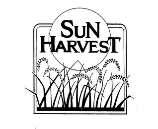 SUN HARVEST logo