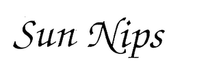 SUN NIPS logo