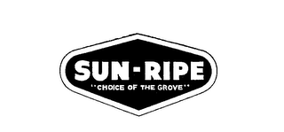 SUN RIPE CHOICE OF THE GROVE logo