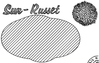 SUN-RUSSET logo