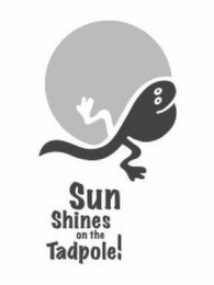 SUN SHINES ON THE TADPOLE! logo