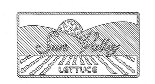 SUN VALLEY LETTUCE logo