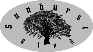 SUNBURST BLVD logo