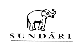 SUNDARI logo
