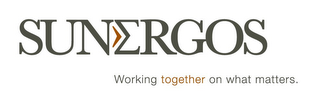 SUNERGOS WORKING TOGETHER ON WHAT MATTERS. logo