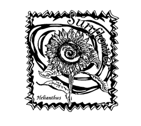 SUNFLOWER HELIANTHUS logo
