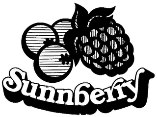 SUNNBERRY logo