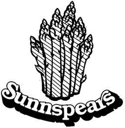 SUNNSPEARS logo