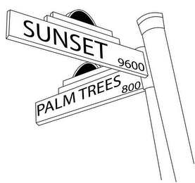 SUNSET & PALM TREES 800 9600 logo