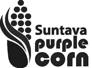 SUNTAVA PURPLE CORN logo