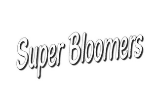 SUPER BLOOMERS logo