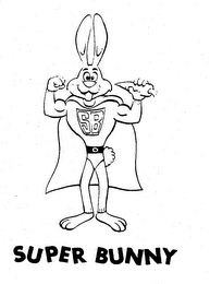 SUPER BUNNY SB logo