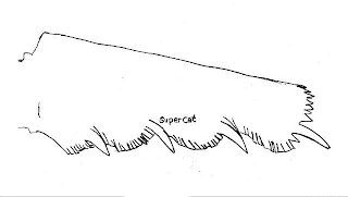 SUPER CAT logo