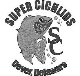SUPER CICHLIDS SC DOVER, DELAWARE logo