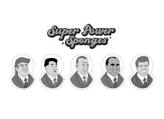 SUPER POWER SPONGES