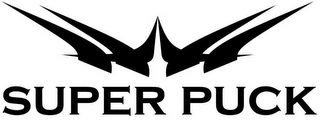 SUPER PUCK logo