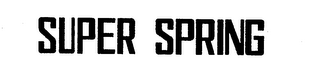 SUPER SPRING logo