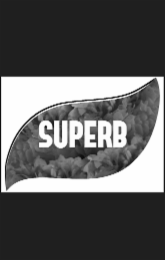 SUPERB logo