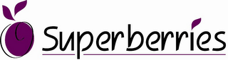 SUPERBERRIES logo