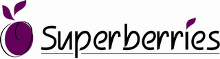 SUPERBERRIES logo