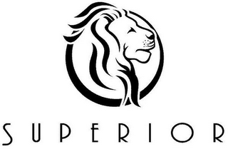 SUPERIOR logo