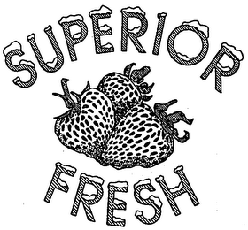SUPERIOR FRESH logo