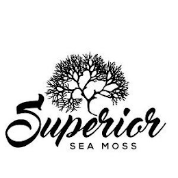SUPERIOR SEA MOSS logo