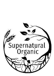 SUPERNATURAL ORGANIC logo