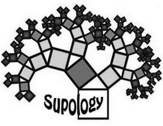 SUPOLOGY logo
