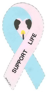 SUPPORT LIFE MARK 9:37 logo