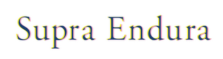 SUPRA ENDURA logo